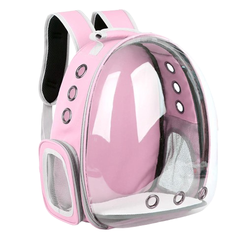 Transporte e Proteção